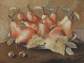 Nature morte avec poires et noisettes